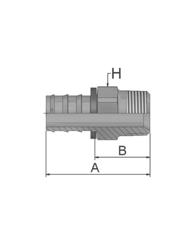 NPT
